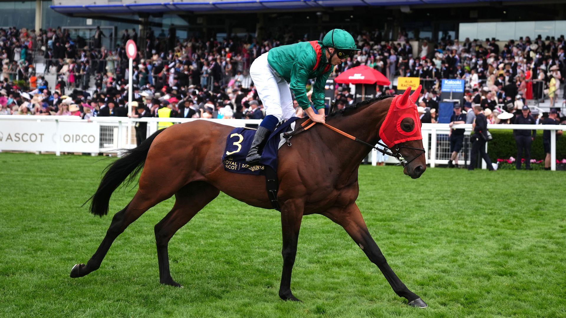 Daryz, Gstaad and Opera Ballo feature on stellar Arc Trials Day