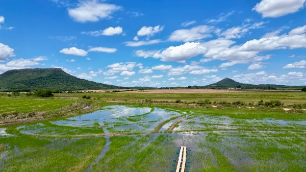 We’re catalyzing megaton-scale climate impact in Brazil