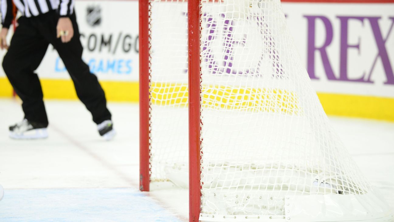 Haul of a deal: OHL's Steelheads net 17 picks for top hockey prospect