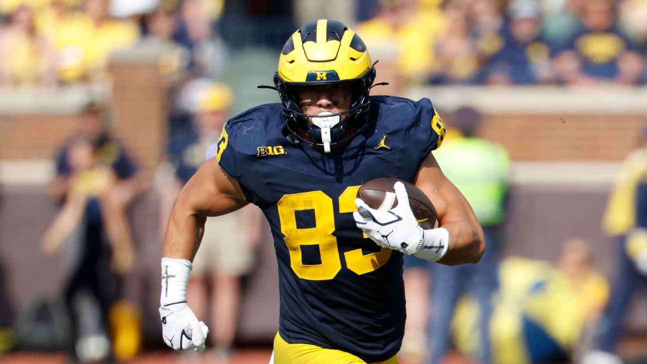 Michigan TE apologizes for 'inappropriate' criticism of OC Beck